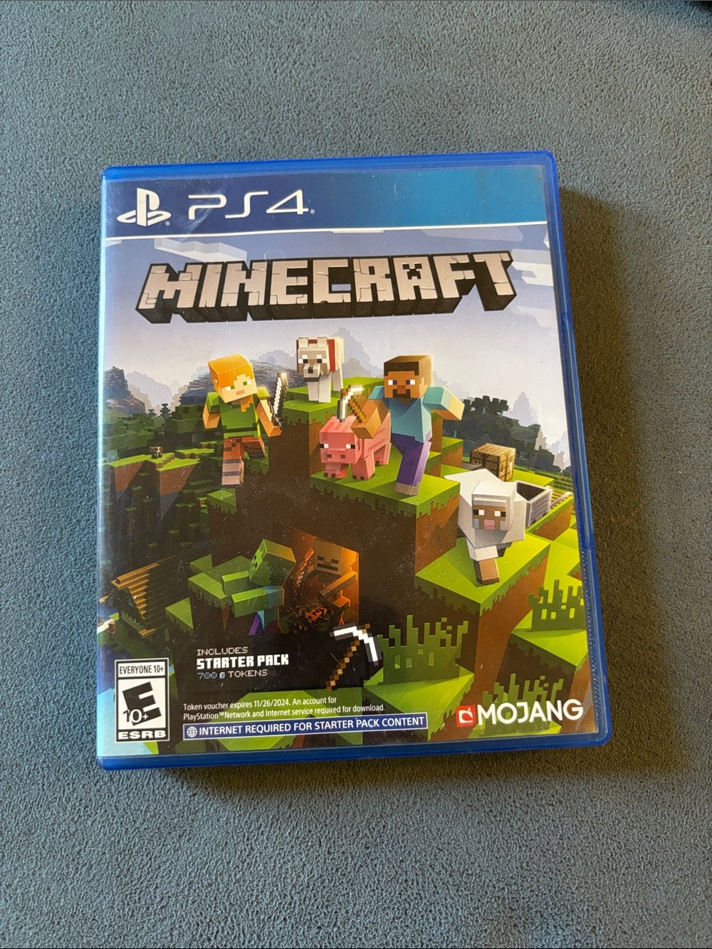 #247 Minecraft PS4 Video Game - Blue Case